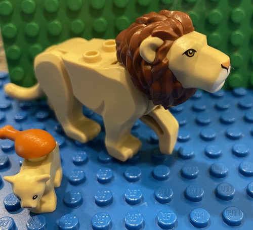 ルフィ×Lions $_12.JPG?set_id=880000500F