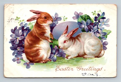 Bunny Rabbit Flowers Easter Greetings 1907 Vintage Tuck Postcard