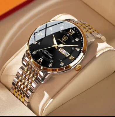 Poedagar Men's Watch - Stainless Steel Quartz - Elegant Bezel- Waterproof