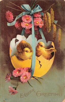 c1910 Fantasy Chicks Shell Egg Huge Exaggerate  Easter P339