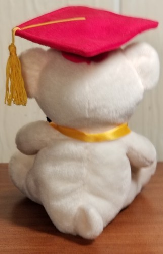 Graduation Gift Plush Bear With Gift Card Holder 