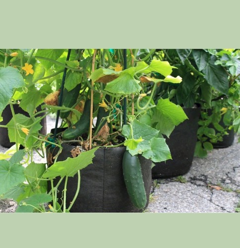 **LOT OF 4** 5 Gallon Fabric Aeration Container Plants Soft Sided SMART Pots