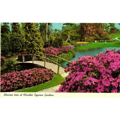Vintage Cypress Gardens Florida Postcard Blossom Time Pink Azaleas Bridge FK.145