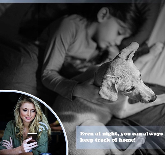 Woman using smartphone, child sleeping, dog, night-time home surveillance.