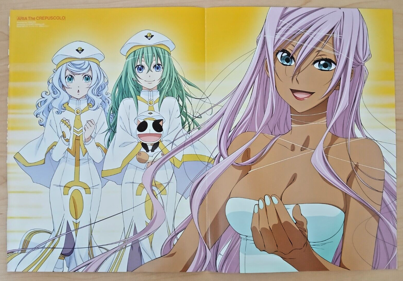 Aria the Crepuscolo / Re:Zero poster (12x17in) vintage