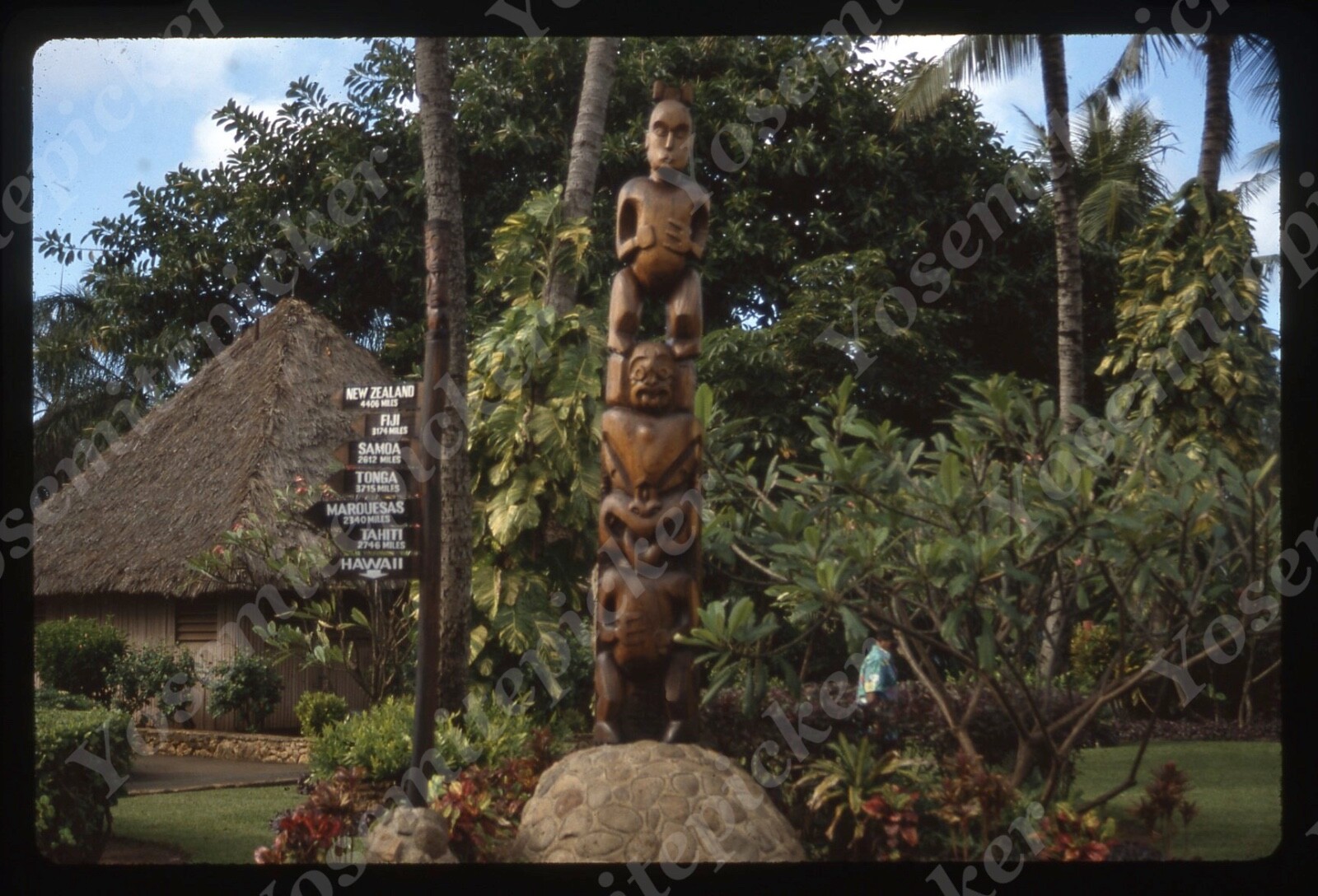 TIKI ハワイ Tiki Mug: Gecko'z South Seas Hawaii Max's Beam Green
