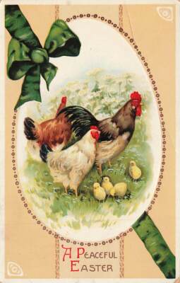 c1910 Fantasy Hens Chicks Exaggerate Egg Gel Germany Easter P283