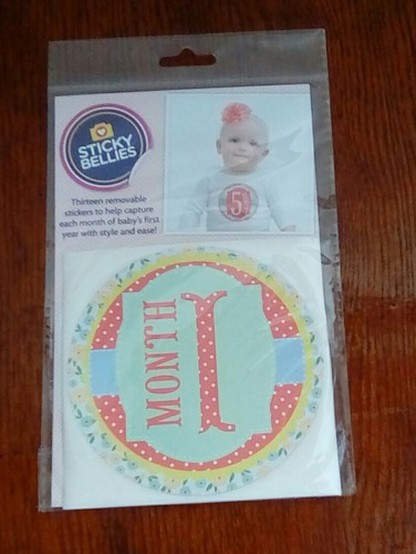 STICKY BELLIES Baby Monthly Photograph Stickers for Girl Garden Party Shower