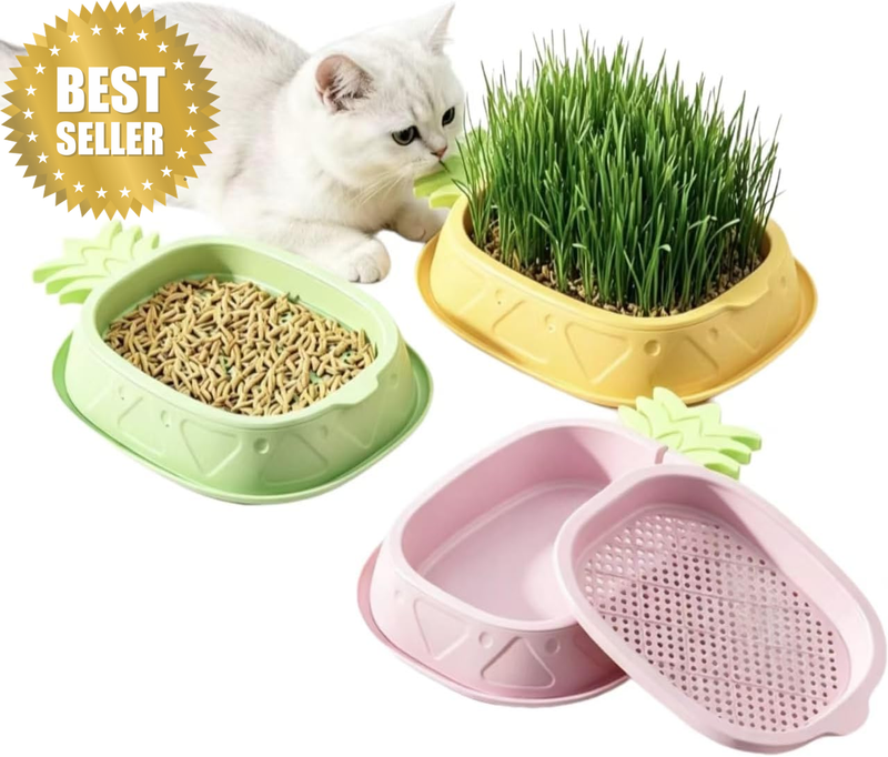 3-Pack Multicolor Pineapple Hydroponic Cat Grass Kit
