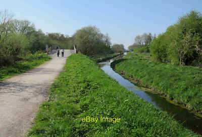 Photo 6x4 Cyclepath through Ham Wall RSPB Ashcott Corner Along a former r c2017