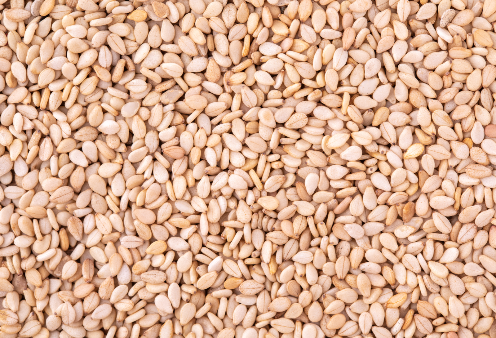 Sesame Seeds Natural Unhulled Whole Raw 100% Pure Non-GMO, Kosher, Vegan Bulk