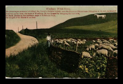 SHEEP GRAZING IN FIELD BY ROAD WESTBURY WHITE HORSE POSTCARD