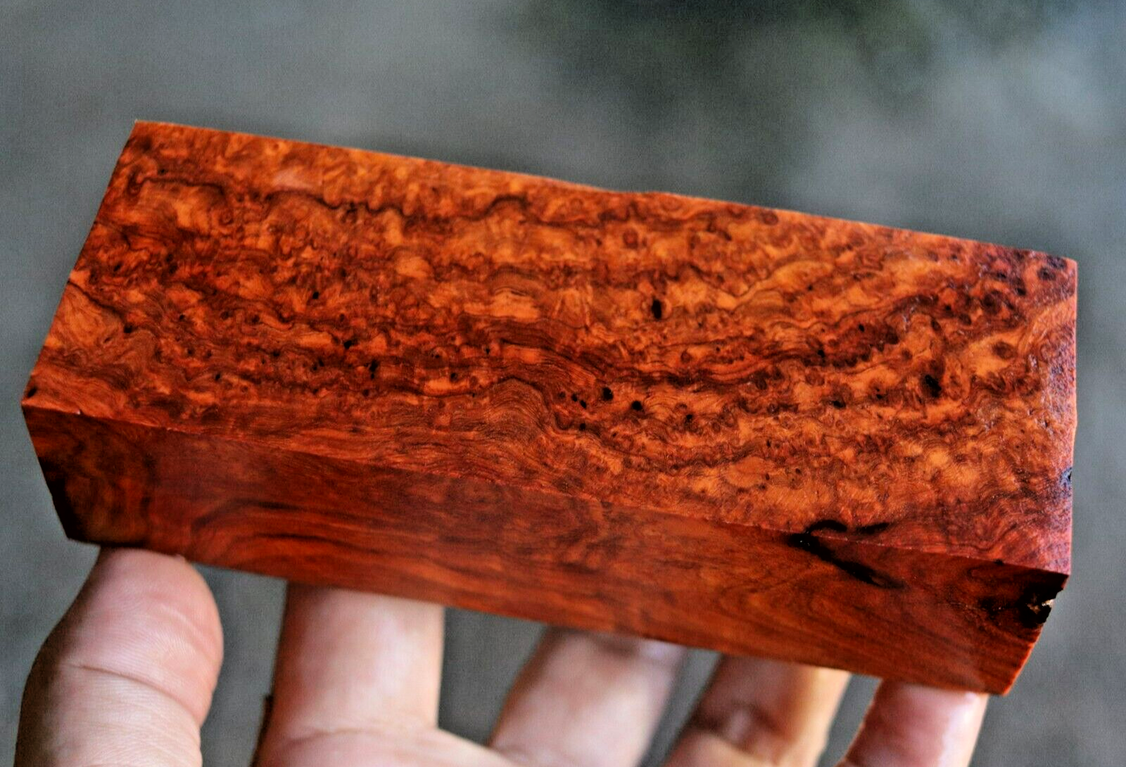 Amboyna Burl, Knife Handle Blank Turning, Exotic Wood 1 7/8"x 5"x 1 3/8" #392 Amboyna Burl, Knife Handle Blank Turning, Exotic Wood 1 7/8"x 5"x 1 3/8" #392