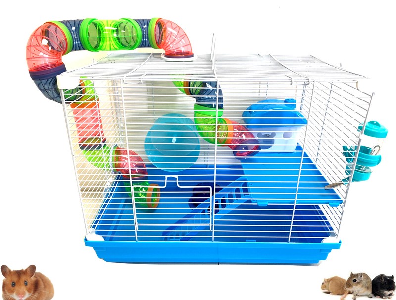Lvl в hamster. Hamster уровни. Лабиринт для хомяка джунгарика. Hamster kombat уровни. Lvl в hamster.