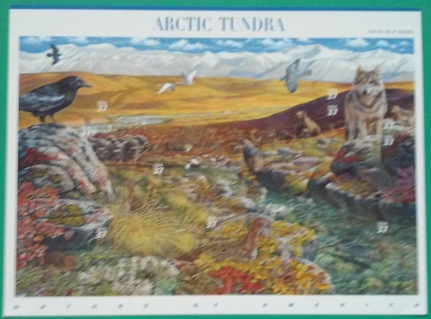 Complete Set of 12 NATURE OF AMERICA Sheets US Postage Stamps USA Sc 3293 - 4474