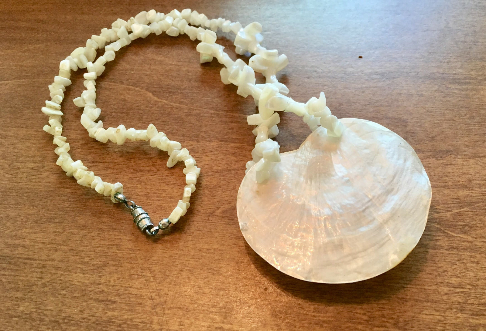 Seashell Necklace