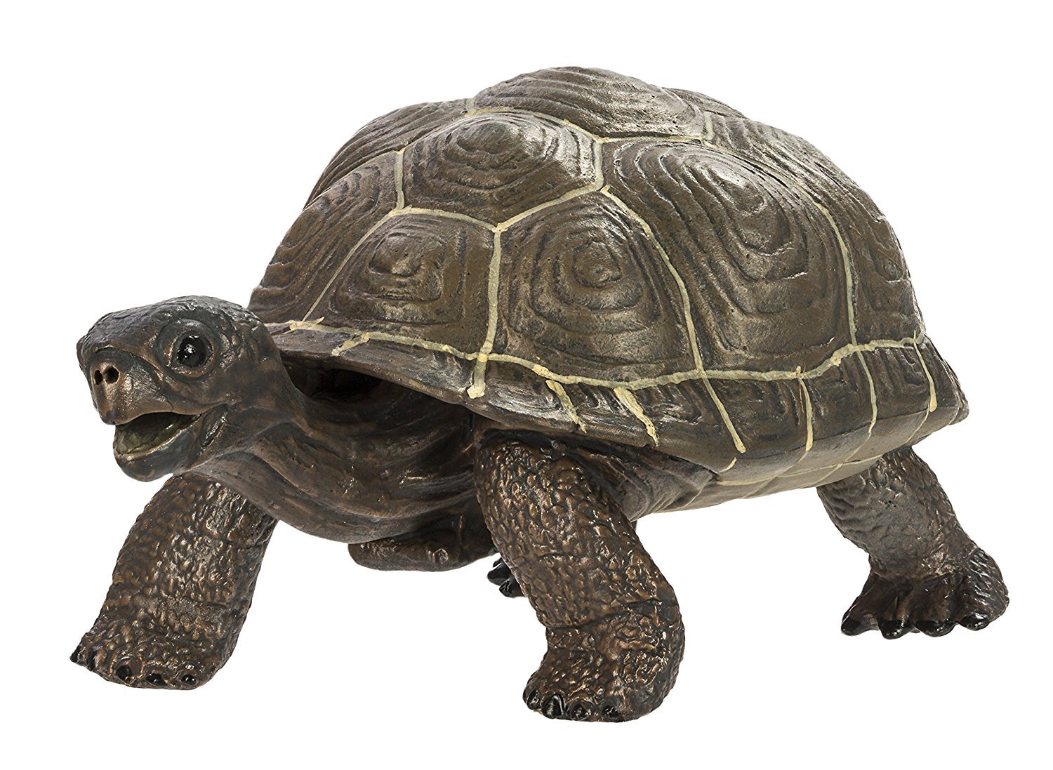 置物 Peaceful Countryside Baby Tortoises Peaceful Countryside Baby Tortoises | Swarovski