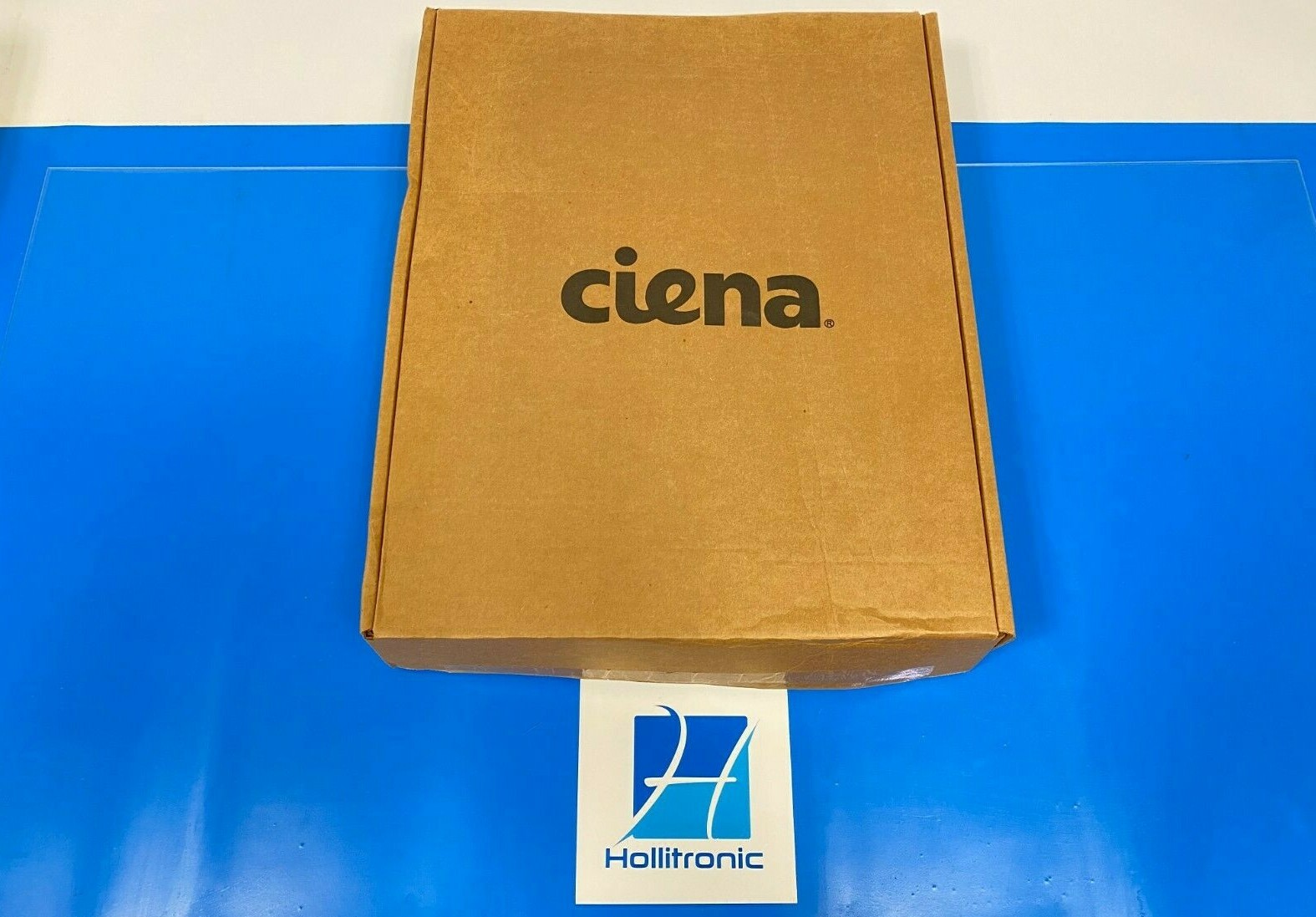 CIENA CORPORATION NTK505MBE5 ACCESS PANEL, CNVD (SONET) | eBay CIENA CORPORATION NTK505MBE5 ACCESS PANEL, CNVD (SONET) | eBay