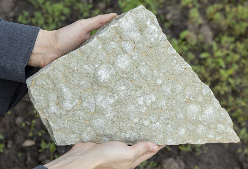 Ediacaran Precambrian fossil Medusoid Nemiana simplex 12.19 lbs #7077T UKRAINE