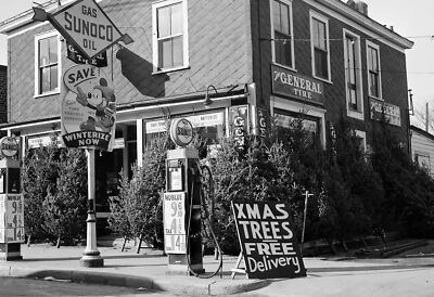 1940 Christmas Trees at Gas Station, RI Old Photo 13" x 19" Reprint