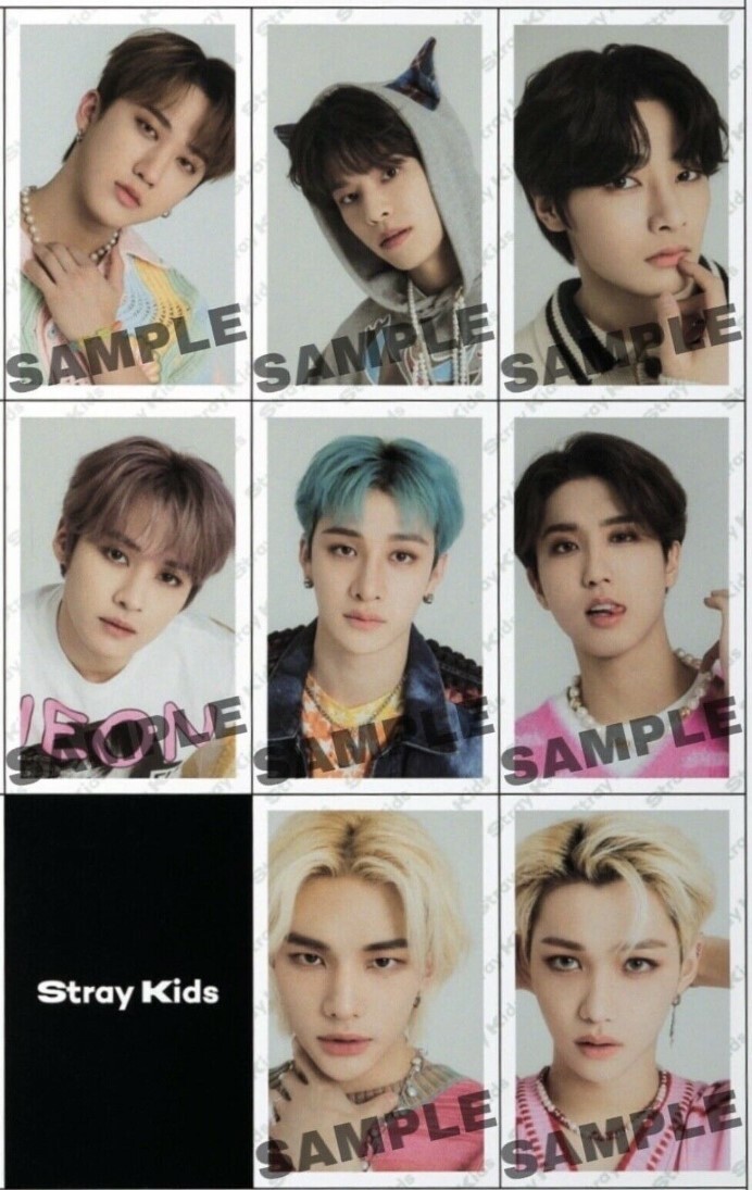 Stray Kids SKZ Japan magazine Mini July 2022 Photocard | eBay