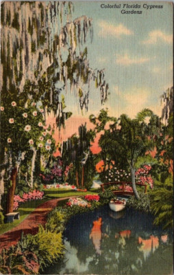 Colorful Florida Tropical Cypress Gardens Vintage Linen Postcard A12