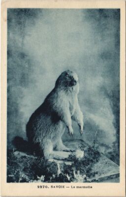 CPA Savoie - La Marmotte (1191464)