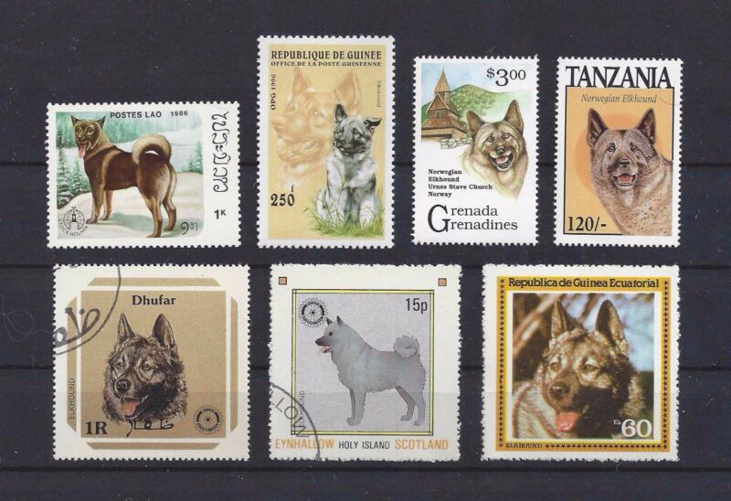 Dog Art Head & Body Study Postage Stamp Collection NORWEGIAN ELKHOUND 7x CTO MNH