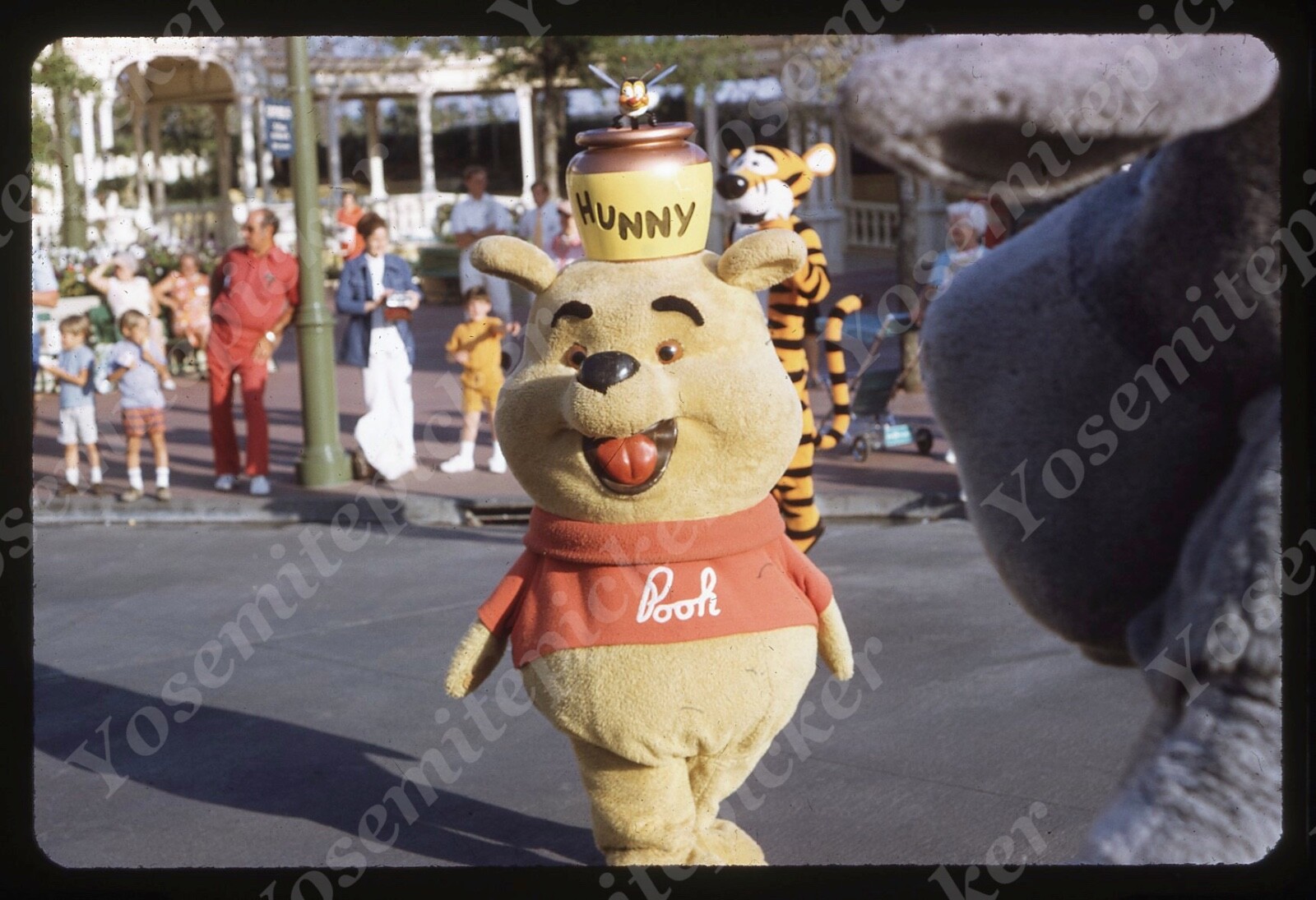 Pooh^_^ 41RT6xj+8cL.jpg_BO30,255,255,