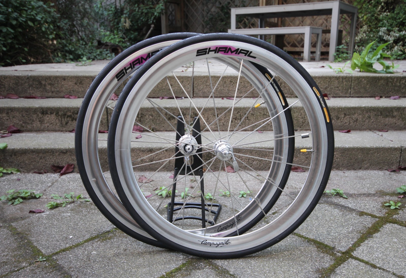 パーツ Campagnolo SHAMAL MILLE Campagnolo Shamal Mille C17 Wheelset - Components