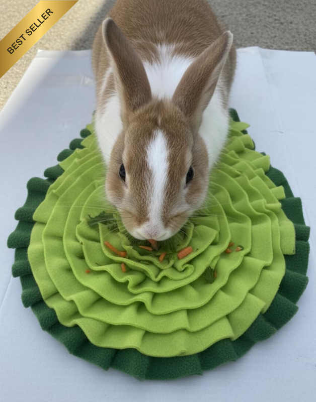2Pcs of Avocado Shaped and Colored Cute Small Green Snuffle Mat for Small Dogs C