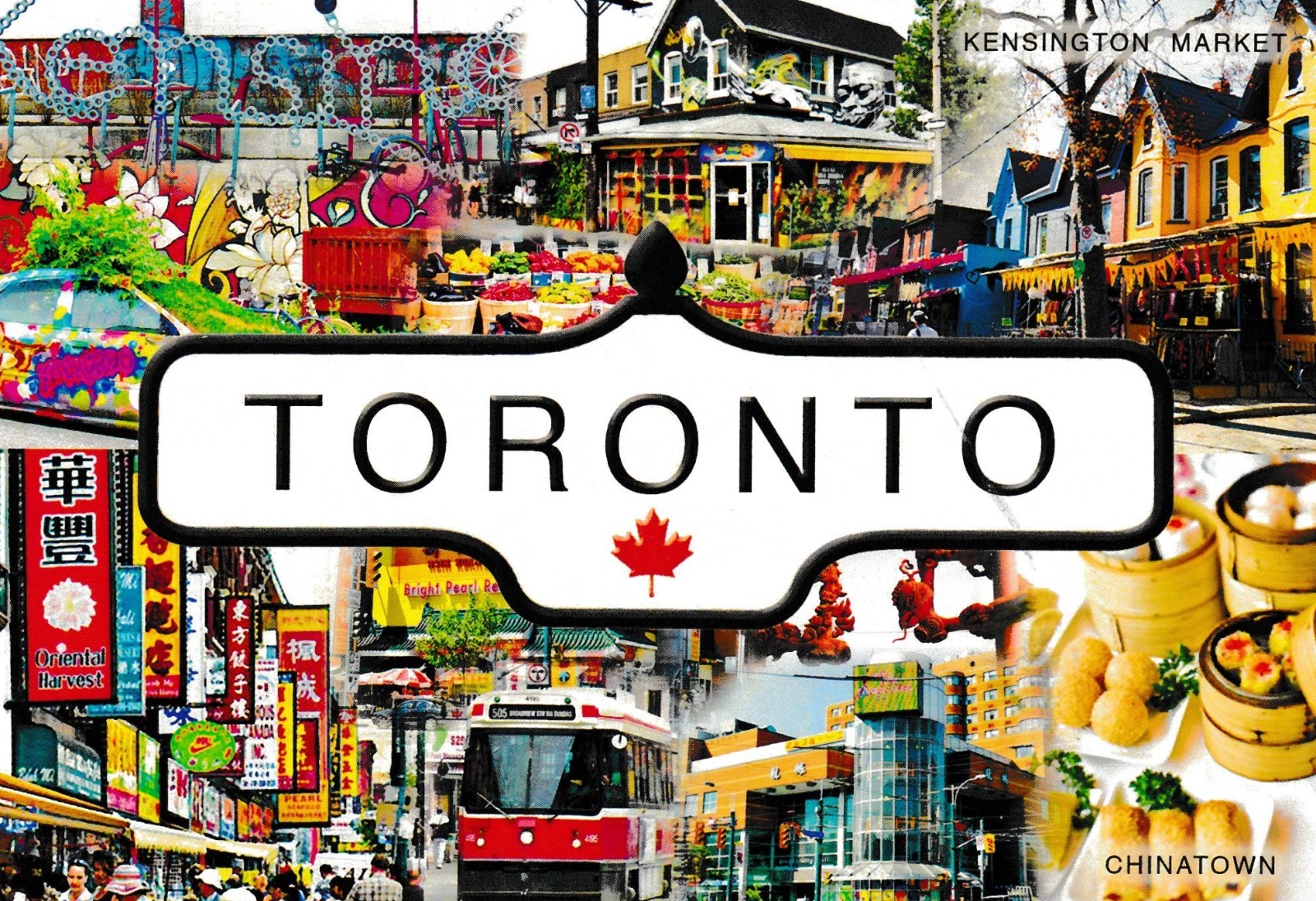 vintage post card TORONTO Humor Basement Apartment For Rent Ontario Canada  #110