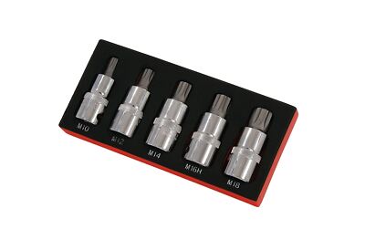 5pc 1/2'' Drive Spline Triple Square Bit Sockets M10, M12, M14, M16 & M18