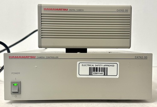 ロッド kimi 株式会社DSTYLE 公式サイト