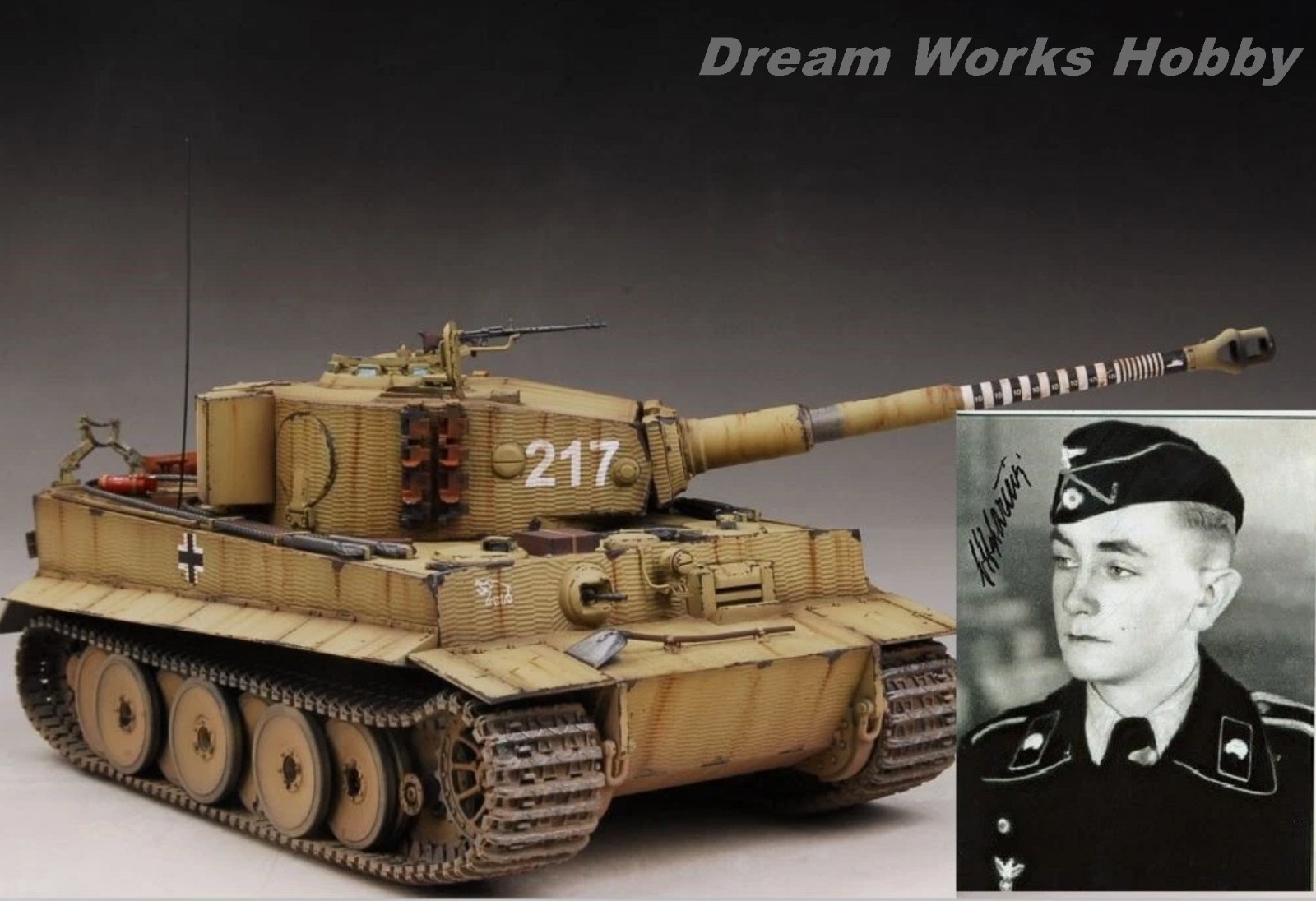 Award Winner Built 1/35 Legendary ACE Otto Carius Tiger 217 +2PE +