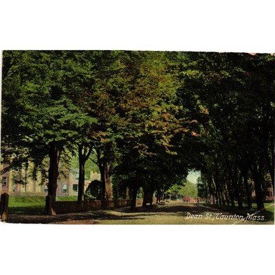 Vintage 1910 Dean St Taunton Mass Postcard Tree Lined Street Massachusetts MA