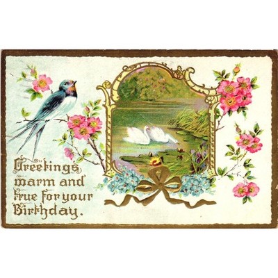 Vintage Birthday Postcard Swallows & Swans Lake Embossed Floral Germany c1912
