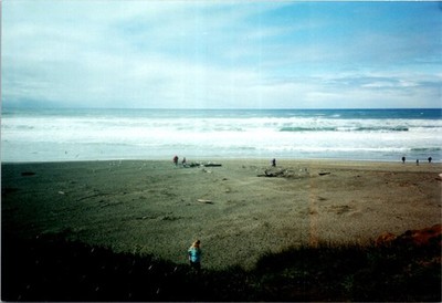 View of people on the beach and the Pacific Ocean Found Photo V2524