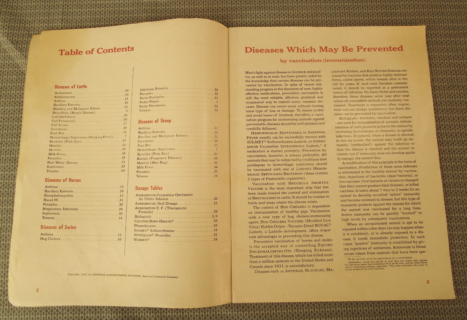 40 PG VTG 1952 COMMON DISEASES OF LIVESTOCK BOOKLET by LEDERLE  LABORTORIES DIV.
