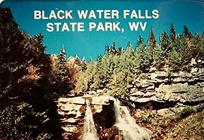 Blackwater Falls State Park WV Mini Postcard Magnet