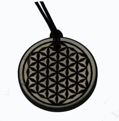 Shungite Emf Protection Necklace Flower of life Engraved Pendant Circle