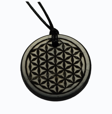 Shungite Emf Protection Necklace Flower of life Engraved Pendant Circle