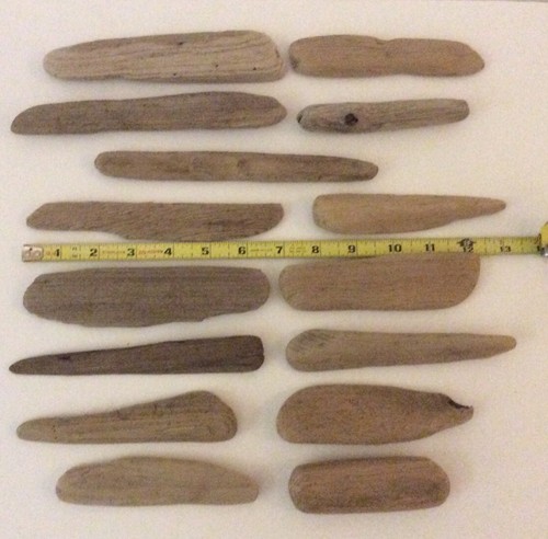 Surf Tumbled Great Lakes Driftwood Cleaned Terrariums Beach Art Craft 15pc 4”-7”