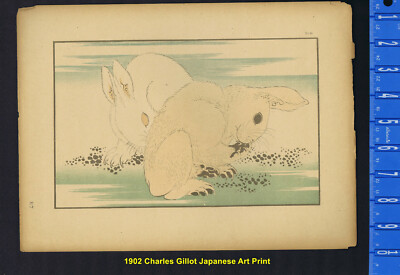 Cute Bunny Rabbits - CHARLES GILLOT- 1902 Japanese Art Print