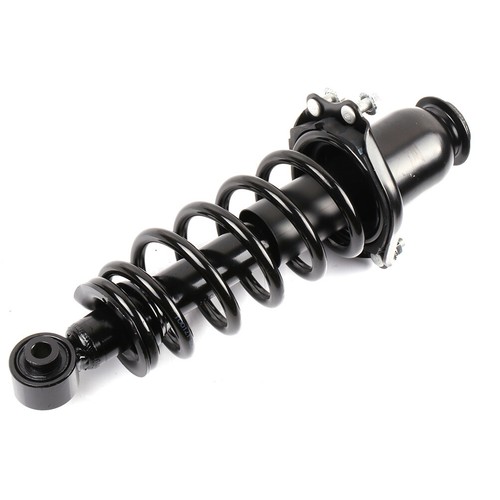 Pair Rear Complete Struts For Scion Tc 2005-2010 w/ Coil Spring Shocks Assembly