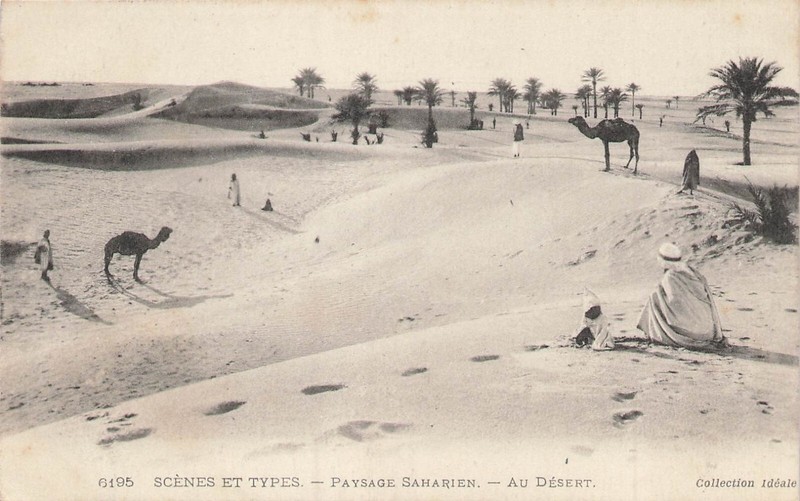 Afrique Du Nord Scenes Et Types 80093