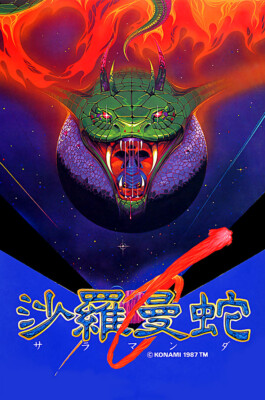 Salamander Deluxe Pack Portable Sega Saturn PS1 PSP POSTER MADE IN USA - OTH446