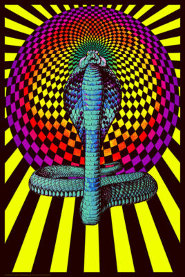 SPELLBOUND COBRA - BLACKLIGHT POSTER - 24X36 - PSYCHEDELIC 425