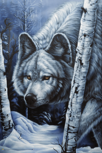 White Wolf by Jenny Newland Poster - 24" x 36"