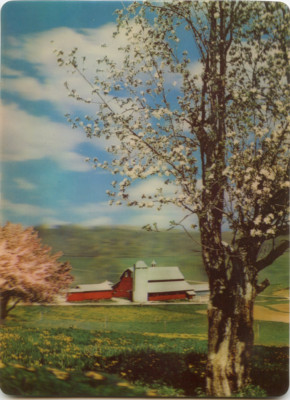 COUNTRY TRANQUILLITY SCENE - 3D Lenticular Postcard  -larger size